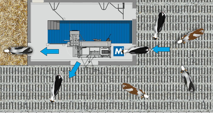 Individuelle Umbaulösungen von Melktechnik Altjohann