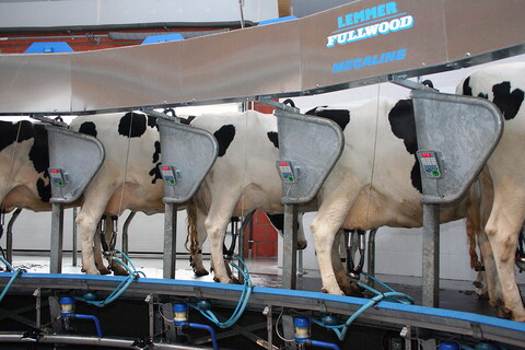 Innenmelkkarussell – Melktechnik Altjohann